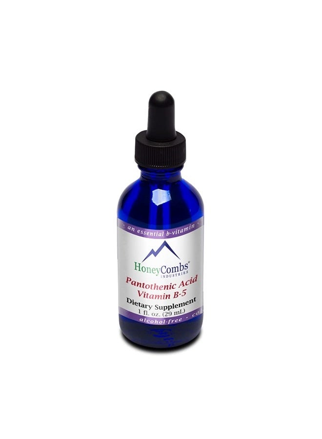 HoneyCombs Vitamin B5 (Pantothenic Acid) Drops – Liquid Vitamin B5 to Maintain Healthy Hormones, Immune System Support & Healthy Hair, Skin, Nails – Vegan, Alcohol-Free Vitamin B Extract, 1 Fl Oz. - Image 1
