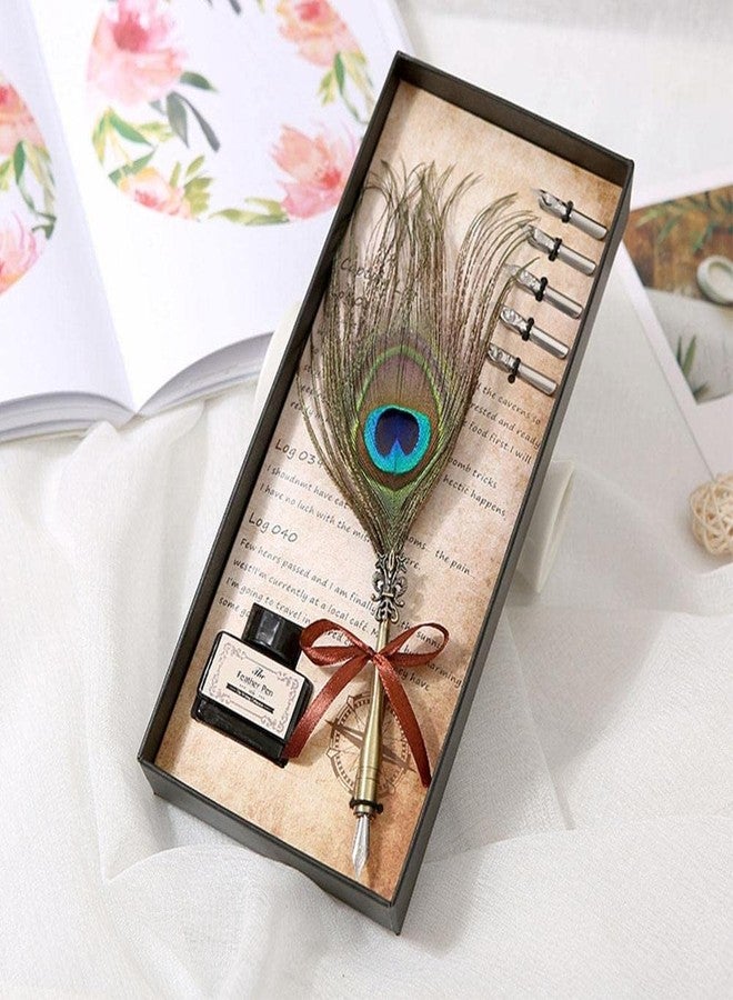Art Ranger Dip Feather Pen Set Calligraphy Pen Set Writing Quill Ink Dip Pen with 5PCs Nib (Peacock Feather) - Image 2