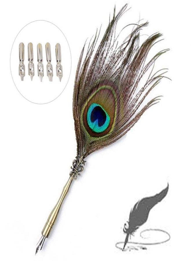Art Ranger Dip Feather Pen Set Calligraphy Pen Set Writing Quill Ink Dip Pen with 5PCs Nib (Peacock Feather) - Image 4