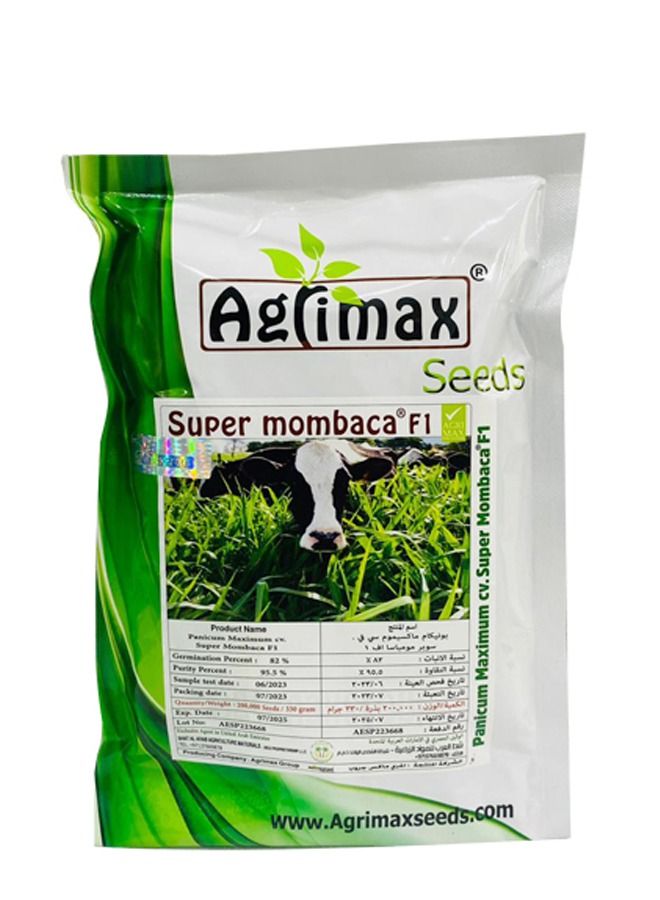 general Agrimax Super Mombaca F1 Premium Quality Seeds Made in Spain - Image 1
