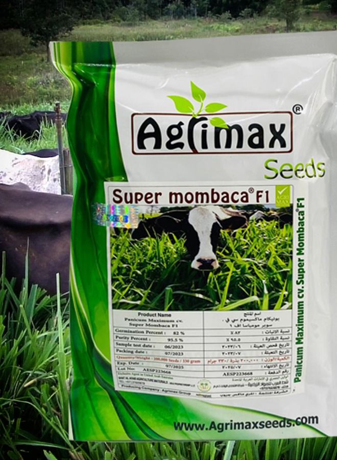general Agrimax Super Mombaca F1 Premium Quality Seeds Made in Spain - Image 4