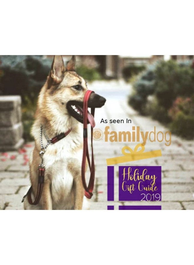 Rogz Reflective Nylon Choke Collar; Slip Show Obedience Training Gentle Choker for Medium Dogs, Purple - Image 4