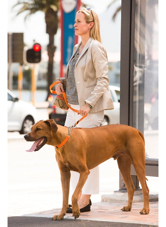 Rogz Reflective Nylon Choke Collar; Slip Show Obedience Training Gentle Choker for Medium Dogs, Purple - Image 5