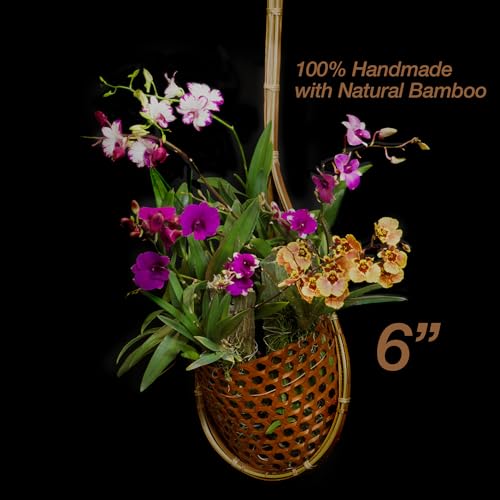 PANWA Handmade 100% Thai Bamboo 6 Inch Signature Super Sanctuary SIAM Orchid Hanging Basket with Nursery Grade Coconut Shell Staves Coir Pith Sponge & Husk Mulch - Image 2