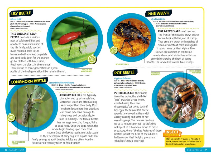 Ultimate Explorer Field Guides British Insects  - Image 2