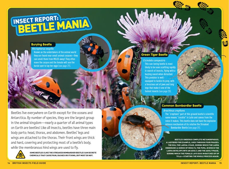 Ultimate Explorer Field Guides British Insects  - Image 1