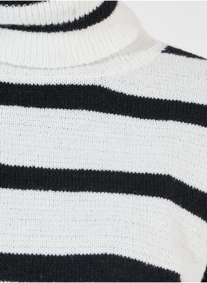 Styli - Regular Fit Turtle Neck Striped Sweater - Image 1