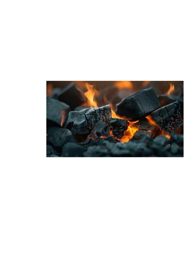 ماركة غير محددة كيس فحم خاص للشواء بوزن 9 كجم - فحم خشبي طبيعي 100% - مثالي للشواء  - Image 4
