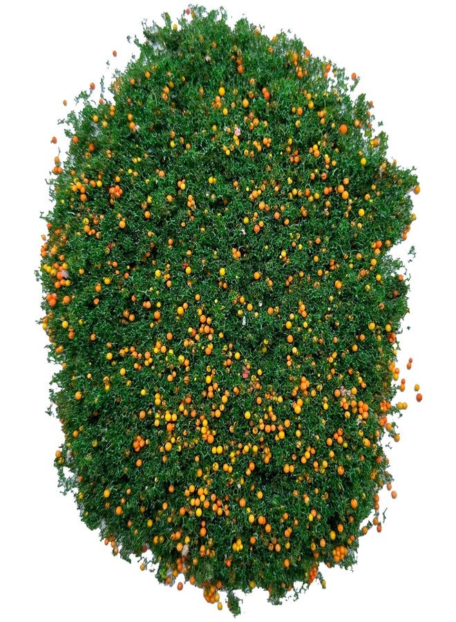 Cayway 4 Color Colorful Tree Powder Model Tree Tufted for DIY Miniature Lowland Model Shrub Bushy Tuft Architecture Building Model Railway Fairy Garden Diorama Scenery - Image 3