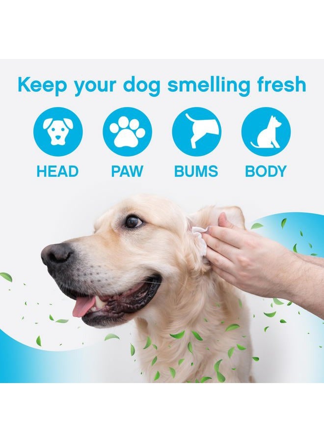 NonScents Grooming Wipes - Deodorizing Wipes for Dogs & Cats - Earth-Friendly, Hypoallergenic - 2-Pack (80 Total Wipes) - Image 3