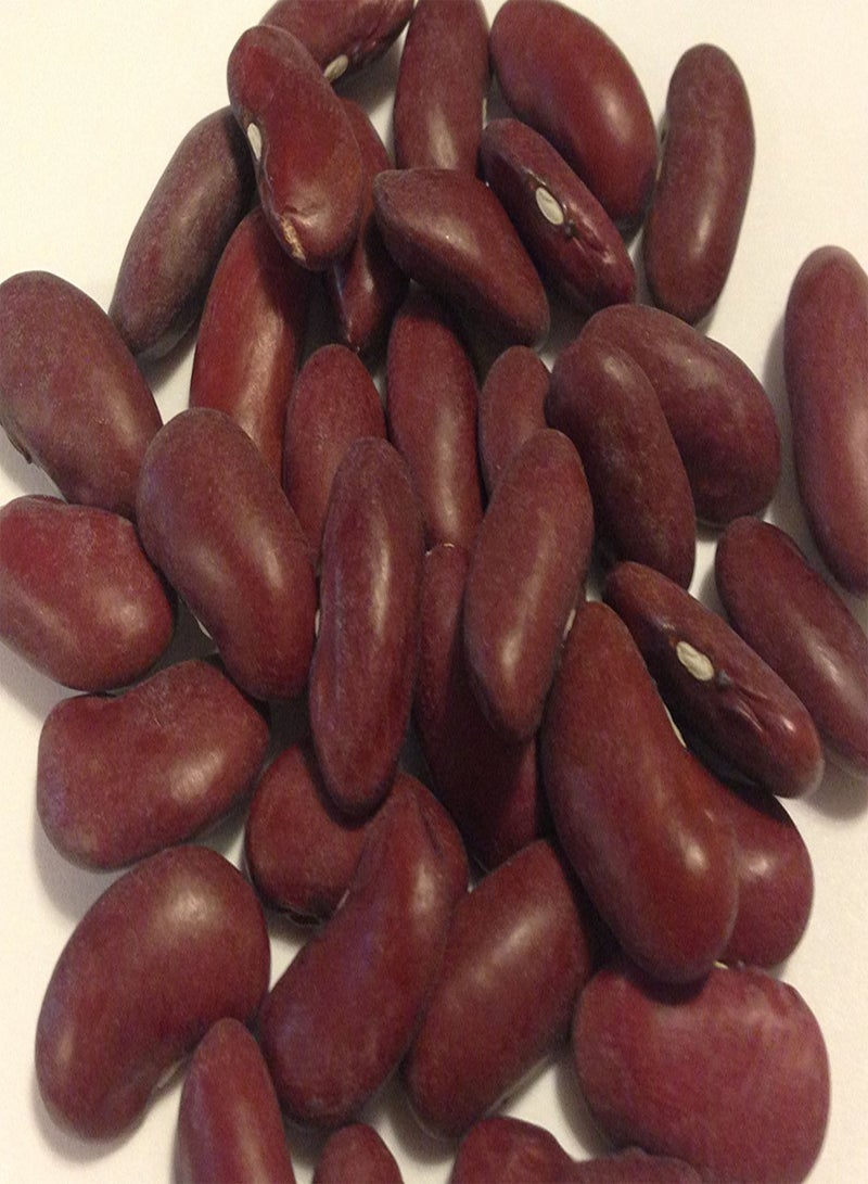 جي جوت فاصوليا حمراء داكنة من الخضروات الرائعة التي يمكن توارثها في الحديقة، 25 بذرة من