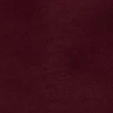 امريكان ايجل هودي مزين بطبعة