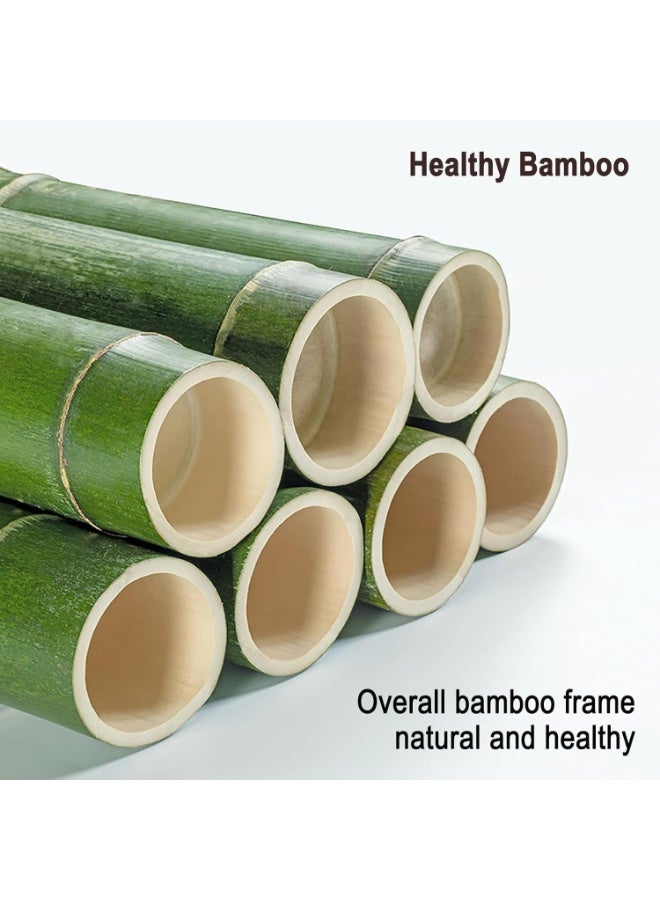 والالا خزانة عرض من الخيزران بخمس طبقات، حافظة عرض شفافة عصرية بسيطة، خزانة تحف، رف عرض زجاجي، رف منظم تخزين منزلي خشبي، خزانة كتب، رف كتب، مع باب نافذة أكريليك مزدوج - Image 2