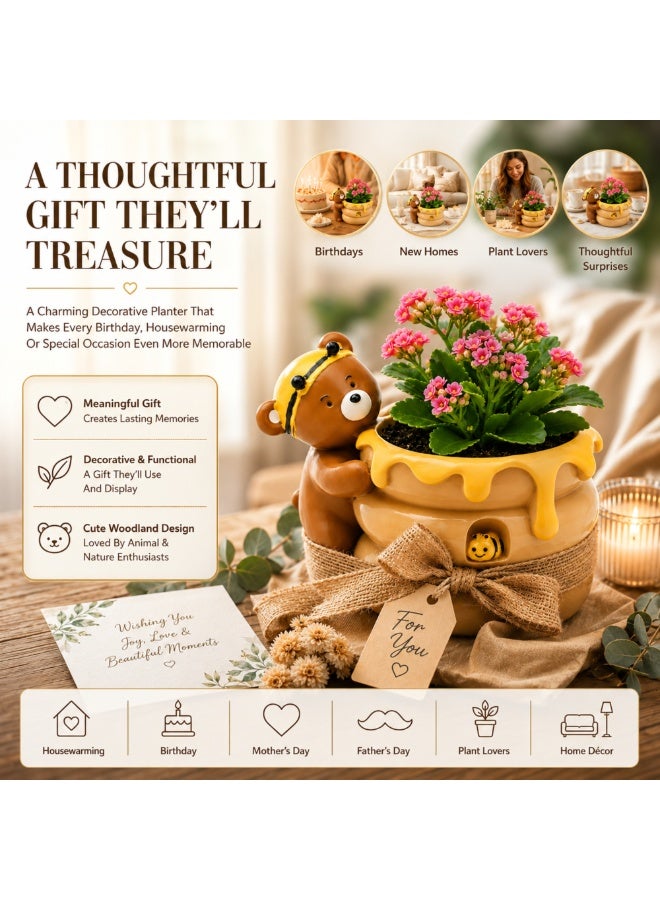 Bear Honey Bee Succulent Planter, Cute Polyresin Flower Pot with Honey Pot Design, Decorative Animal Plant Holder, Mini Cactus Planter, Desktop Pen Holder, Indoor Outdoor Home Office Garden Décor Gift - Image 4