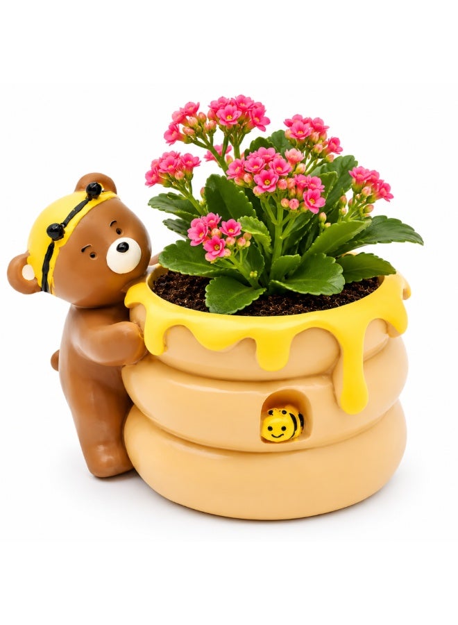 Bear Honey Bee Succulent Planter, Cute Polyresin Flower Pot with Honey Pot Design, Decorative Animal Plant Holder, Mini Cactus Planter, Desktop Pen Holder, Indoor Outdoor Home Office Garden Décor Gift - Image 1