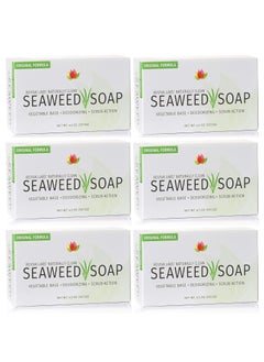 Reviva Labs Reviva Seaweed Soap  6 Pack  Organic Seaweed Face Scrub and Exfoliating Body Scrub Soap Bar  45 oz Vegetable Base Natural Bar Soap and Seaweed Bath Detox Soap Made in the USA 