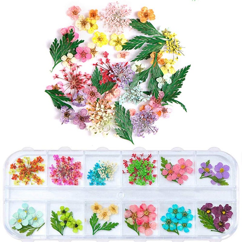unime 1 Box Dried Flowers for Nail Art, UNIME 16 Colors Dry Flowers Mini Real Natural Flowers Nail Art Supplies 3D Applique Nail Decoration Sticker for Tips Manicure Decor (Mixed Gypsophila Flowers) - Image 1