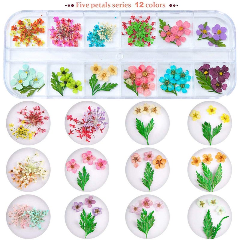 unime 1 Box Dried Flowers for Nail Art, UNIME 16 Colors Dry Flowers Mini Real Natural Flowers Nail Art Supplies 3D Applique Nail Decoration Sticker for Tips Manicure Decor (Mixed Gypsophila Flowers) - Image 3