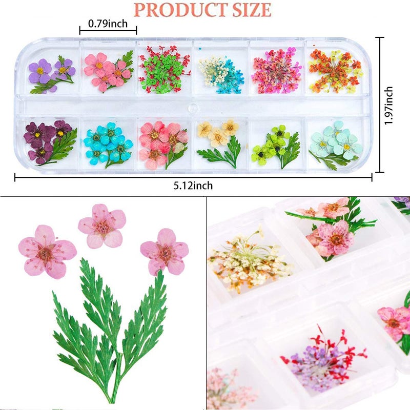 unime 1 Box Dried Flowers for Nail Art, UNIME 16 Colors Dry Flowers Mini Real Natural Flowers Nail Art Supplies 3D Applique Nail Decoration Sticker for Tips Manicure Decor (Mixed Gypsophila Flowers) - Image 4
