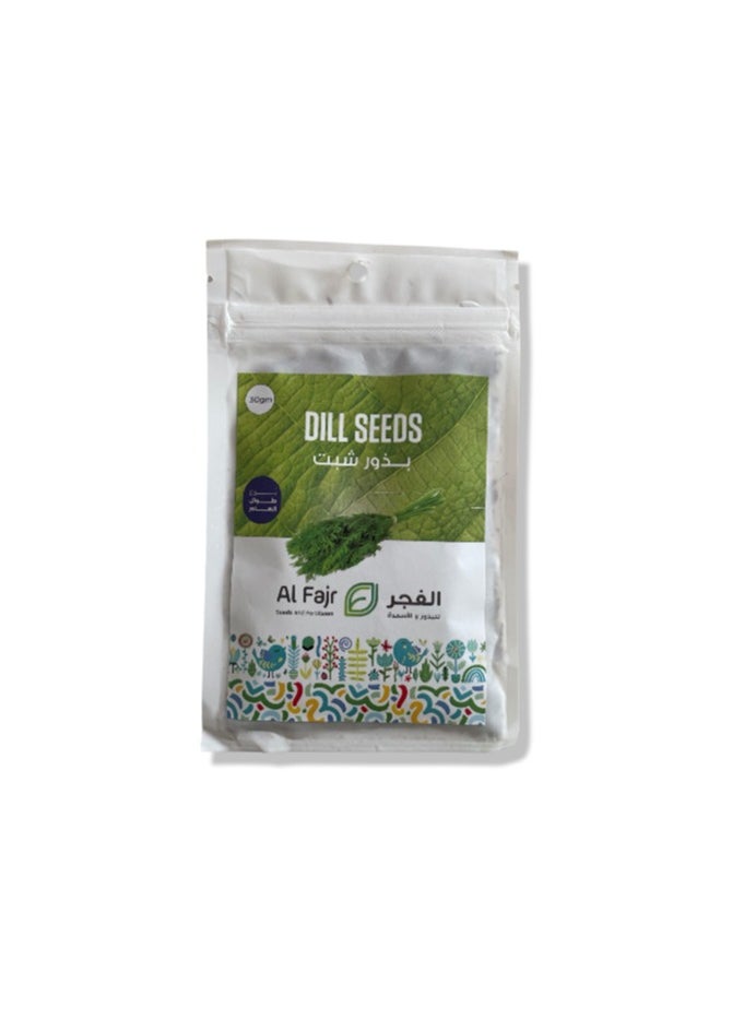 GROW Dill seeds al-fajr  - Image 1
