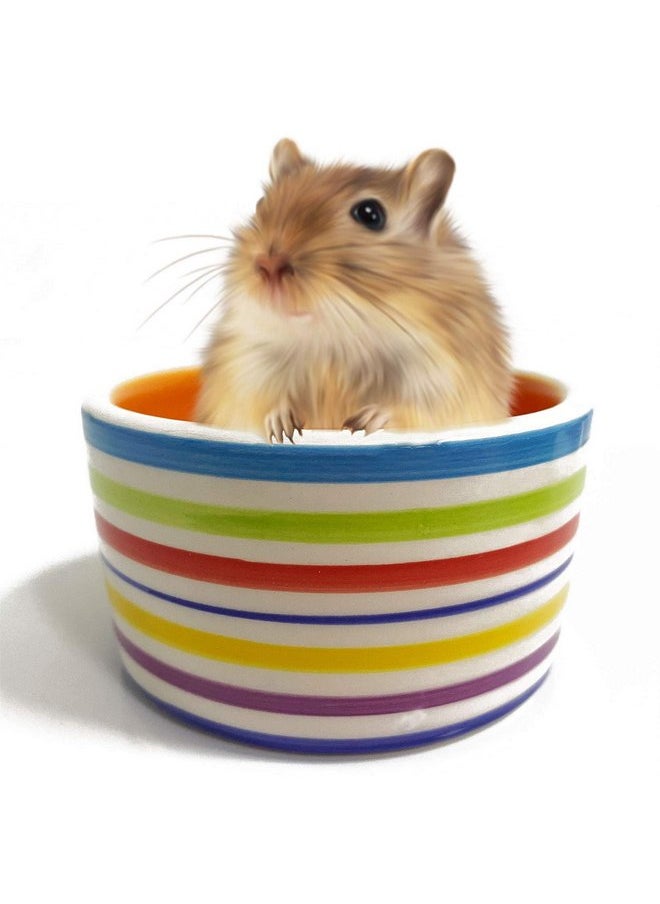 Kathson - kathson Hamster Bowl Ceramic Small Animal Water Bowl Prevent Tipping Moving and Chewing Food Dish for Guinea Pig Gerbil Ferret Syrian Hamster Chinchilla Rat Hedgehog Bunny (3 Pcs) - Image 1