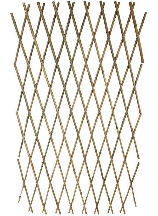 Egardenkart Trellis Bamboo Trellis Plant Climbers  - Image 2