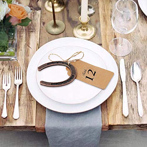HDFSP 10pcs Lucky Horseshoe Wedding Favors with Kraft Tag, Vintage Metal Mini Horseshoe Decorations for Rustic Wedding Birthday Party Decorations - Image 3