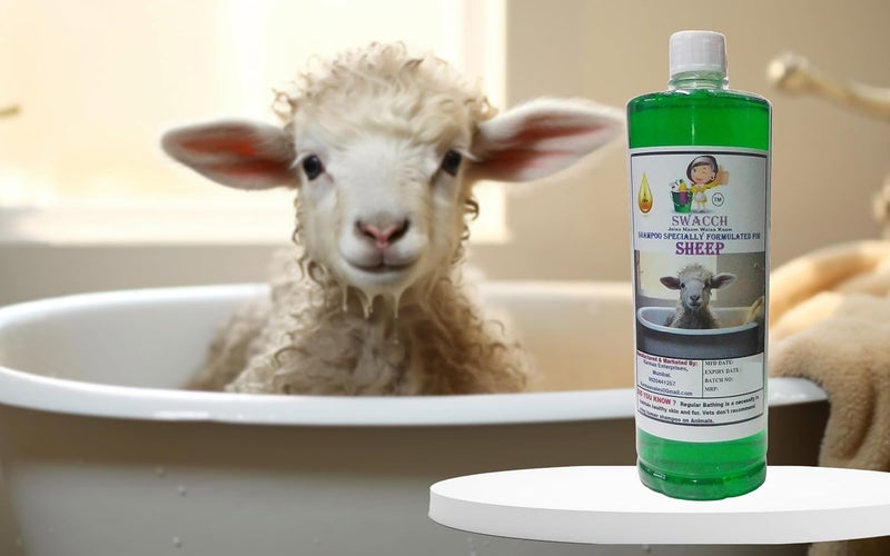 Swacch Shampoo Specially Formulated for Sheep 1 Litre Neem Alovera - Image 2