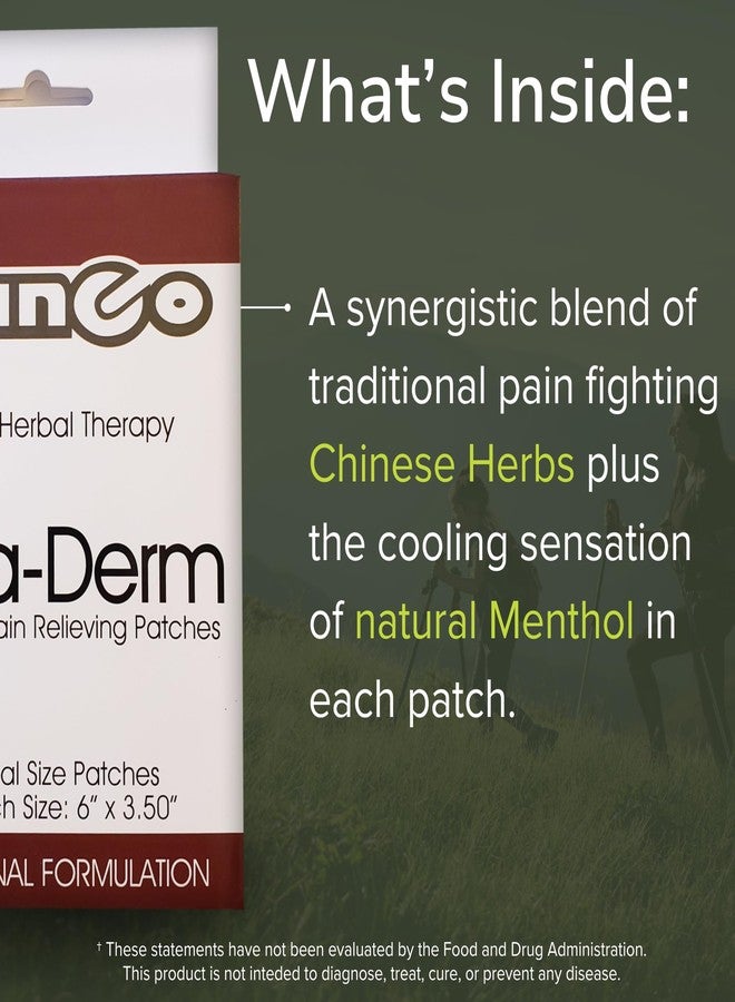 Vinco Inc – Thera-Derm 4 Pack Herbal Adhesive Patches for Muscular & Joint Support | (6″ x 3.25″) | Eases Discomfort & Supports Recovery | Herbal Topical Formula for Wellness - Image 4