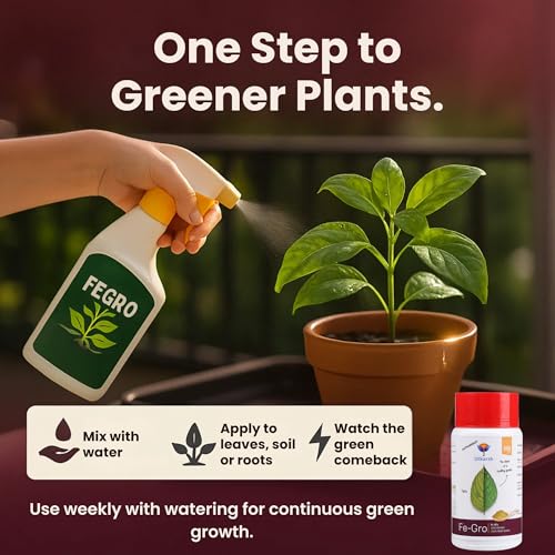 Utkarsh Iron - 12% EDTA Chelated for Plants, 100% Water Soluble Fertilizers, Micronutrients for Vegetables, Fruits, Flowers & Home Garden, Correct Iron Deficiency | FeGro (250 gm; Pack of 1) - Image 5