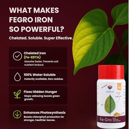 Utkarsh Iron - 12% EDTA Chelated for Plants, 100% Water Soluble Fertilizers, Micronutrients for Vegetables, Fruits, Flowers & Home Garden, Correct Iron Deficiency | FeGro (250 gm; Pack of 1) - Image 3