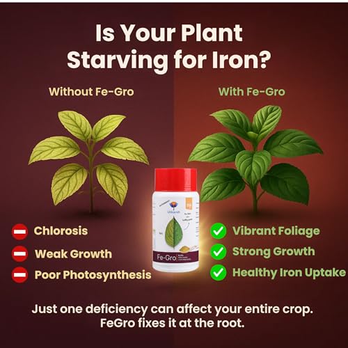 Utkarsh Iron - 12% EDTA Chelated for Plants, 100% Water Soluble Fertilizers, Micronutrients for Vegetables, Fruits, Flowers & Home Garden, Correct Iron Deficiency | FeGro (250 gm; Pack of 1) - Image 4