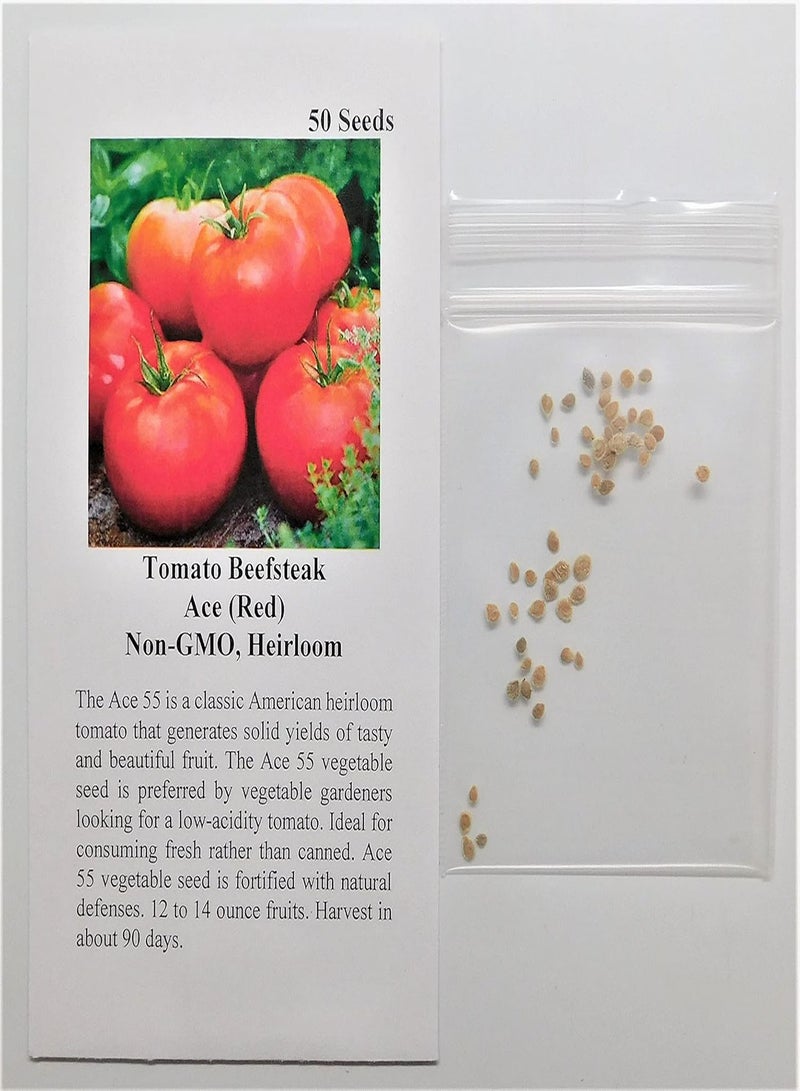 GGOOT Tomato Beefsteak Ace 3477 (Red) 25 Non-GMO, Heirloom Seeds - Image 2