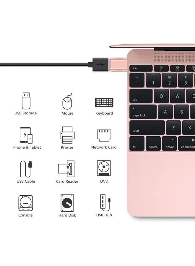 BEYEE USB Female to USB-C Male Adapter 2-Pack, USB C to USB Adapter Thunderbolt 3 to USB Female Adapter OTG for MacBook Pro2019,MacBook Air 2020,iPad Pro 2020,More Type-C Devices (Rose Gold) - Image 3