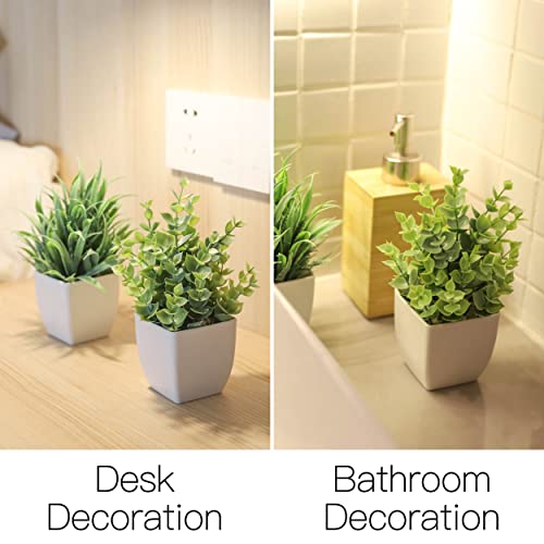 Der Rose 2 Pack Small Fake Plants Mini Artificial Potted Plants for Table Desk Home Laundry Room Bathroom Office Decor - Image 4