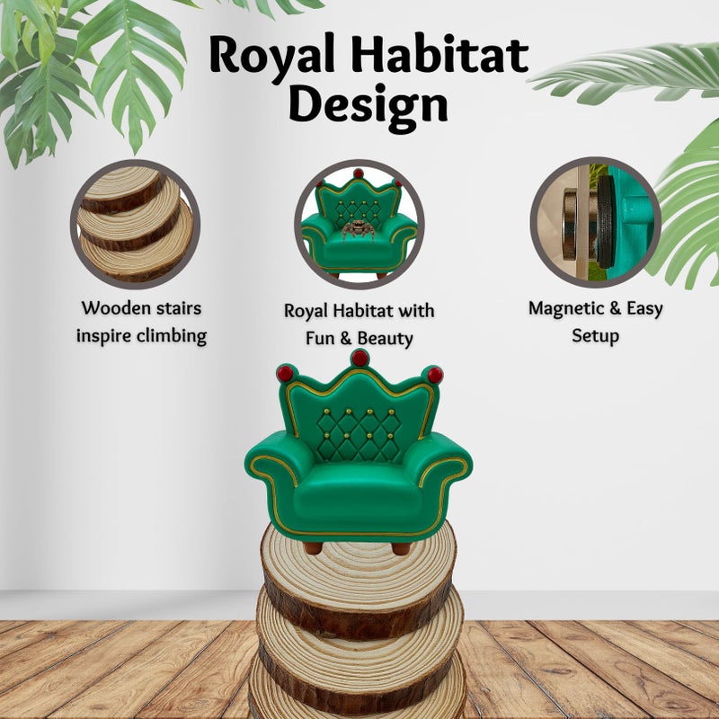 ZREVSB Jumping Spider Enclosure Accessories Kit, Habitat Decor â€” Spider Throne, Wood Stairs, Wood Ledges & Climbing Web - Image 5