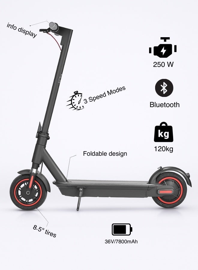 NIYAZI Foldable Electric Scooter with 3 Speeds, 36V 7800mAh Battery, Wide Tires, Multiple Colors - Image 1