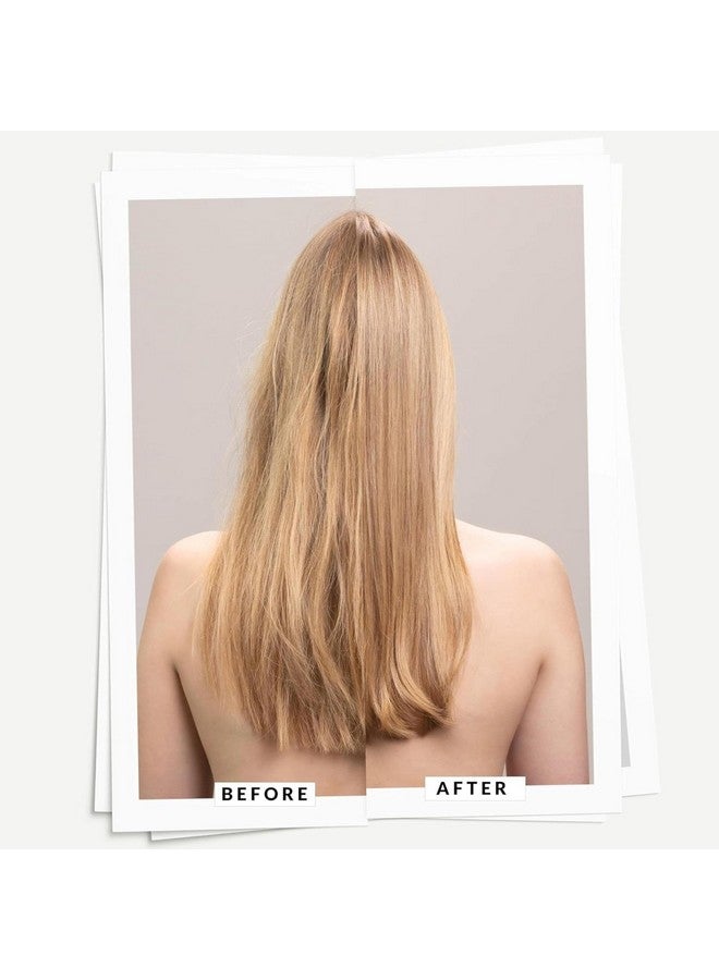 دافينز شامبو دافينيس مينو | شامبو للحفاظ على لون الشعر المصبوغ والمعالج | يحمي الشعر ويحافظ على لمعانه ونضارته لفترة أطول | ٨٫٤٥ أونصة سائلة (عبوة من قطعة واحدة) - Image 2