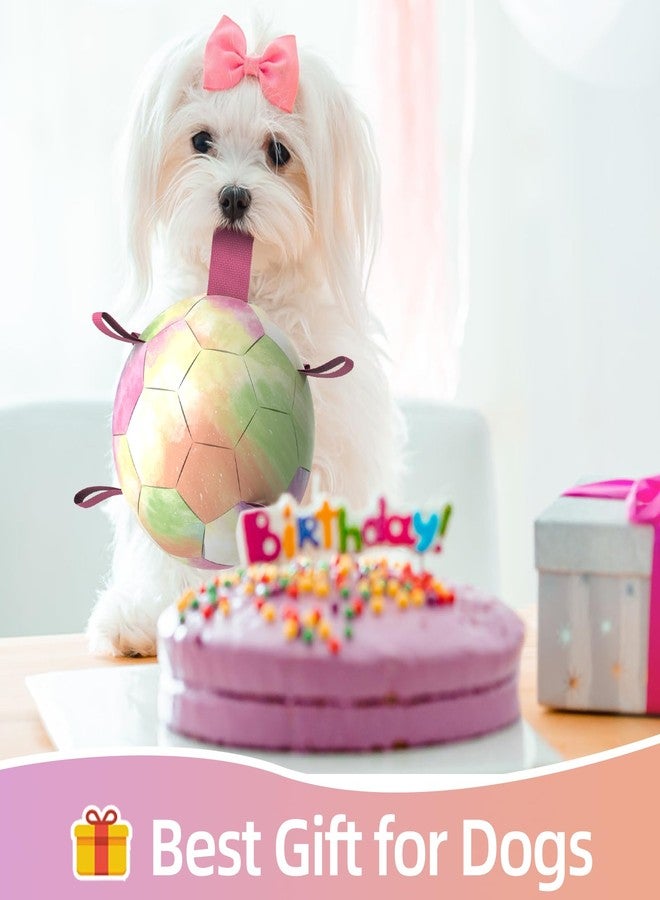 QDAN Dog Toys Soccer Ball with Straps,Gradient Interactive Dogs Toys for Tug of War, Puppy Birthday Gifts,Water Toy Durable Dog Balls World Cup for Small & Medium Dogs-Rainbow（8 Inch） - Image 3