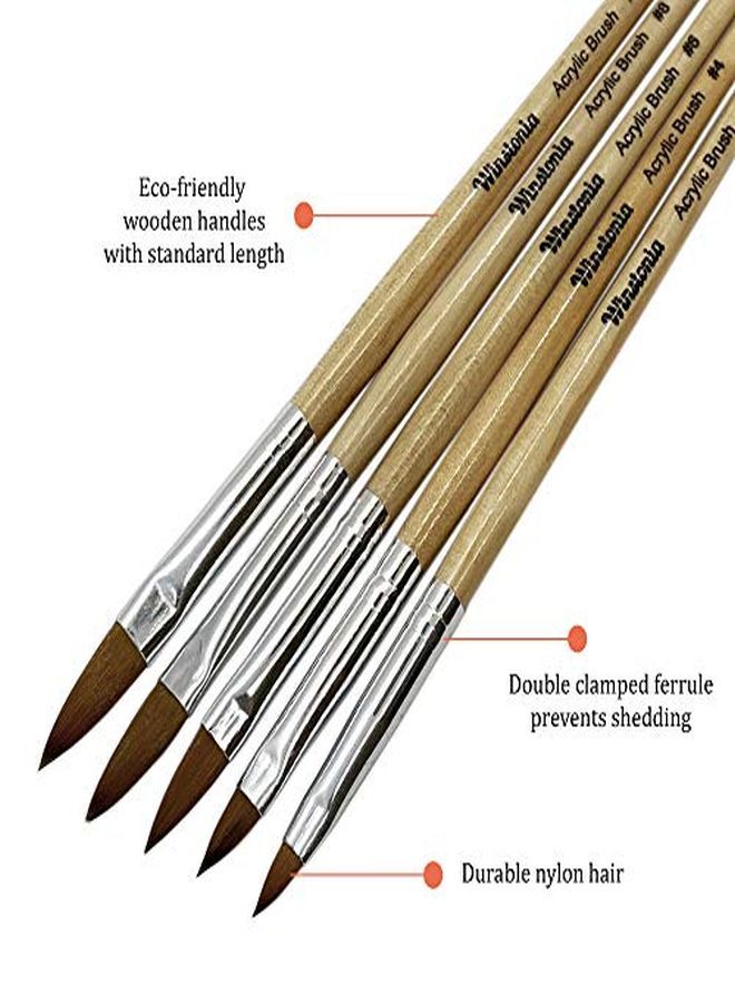 Winstonia Acrylic Nail Brush Set 5 Pcs Size 246810 Professional Brushes Kit Oval Shape For Liquid And Powder Uses Salon Quality - Image 3
