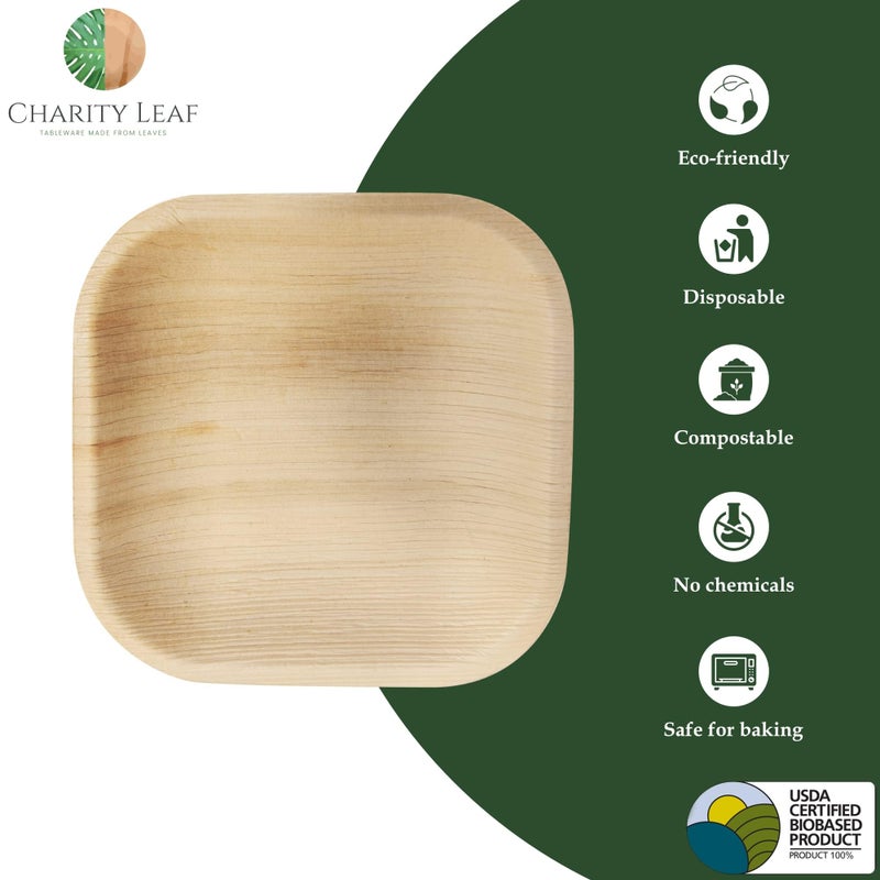 Charity Leaf Disposable Palm Leaf 4"" Square Plates (50 pieces) Bamboo Like Serving Platters  Disposable Boards  Eco-Friendly Dinnerware For Weddings  Catering  Events - Image 4