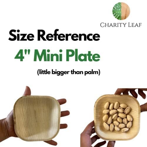 Charity Leaf Disposable Palm Leaf 4"" Square Plates (50 pieces) Bamboo Like Serving Platters  Disposable Boards  Eco-Friendly Dinnerware For Weddings  Catering  Events - Image 2