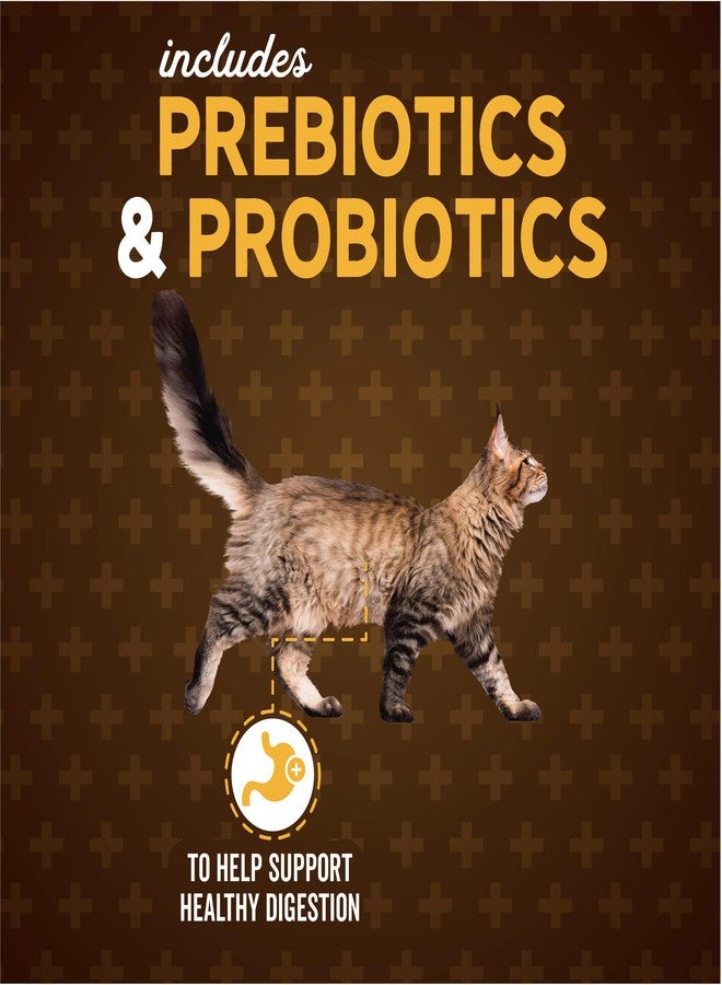 Evolve Classic Deboned Chicken and Brown Rice Recipe Cat Food, 3lb. - Image 5