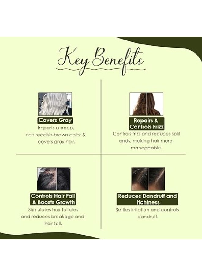 Mi Nature Pure Henna Mehndi Powder 227g| Naturally Plant-based sourced Henna for Hair Coloring & Care |Herbal Hair care | No added Preservatives - Image 3