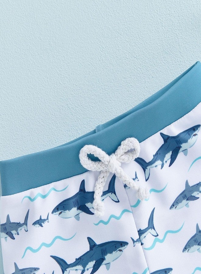 Fernvia Toddler Baby Boy Swim Trunks Cartoon Pattern Elastic Waist Swimming Shorts for Pool Beach Summer Clothes Swimwear (A-Shark, 6-12 Months) - Image 4