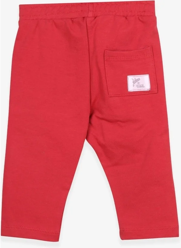 Breeze Boys Sweatpants Bag With Pocket Tile (1-4 Years)