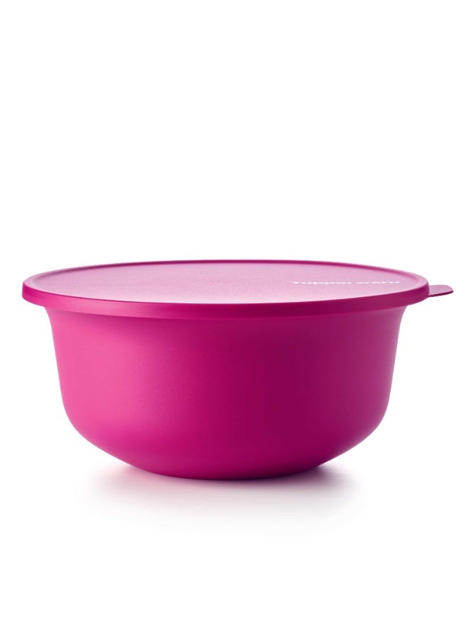 توبروير سلطانية تابروير 4 لتر - Image 1