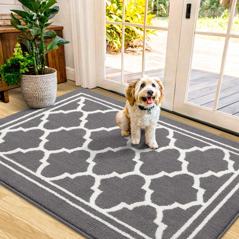 Buganda Indoor Door Mat DirtResistant and Absorbent Doormat AntiSlip Low Profile Floor Mats for Inside Entryway Front and Back Door Entrance 48x32 Inches Grey