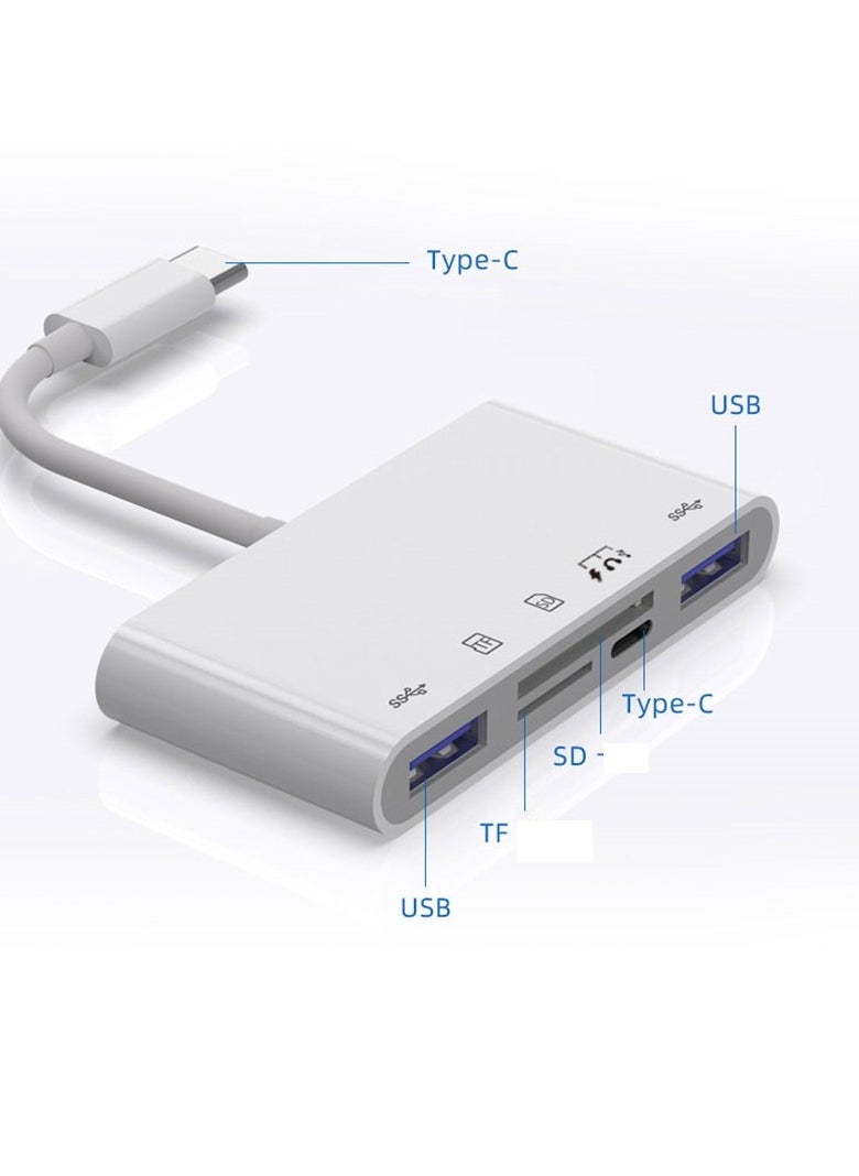 Loquat Multifunctional Card Readers TYPE-C interface 5-in-1 [TF/SD Reading+dual USB+charging/Headphones/USB Drive] 