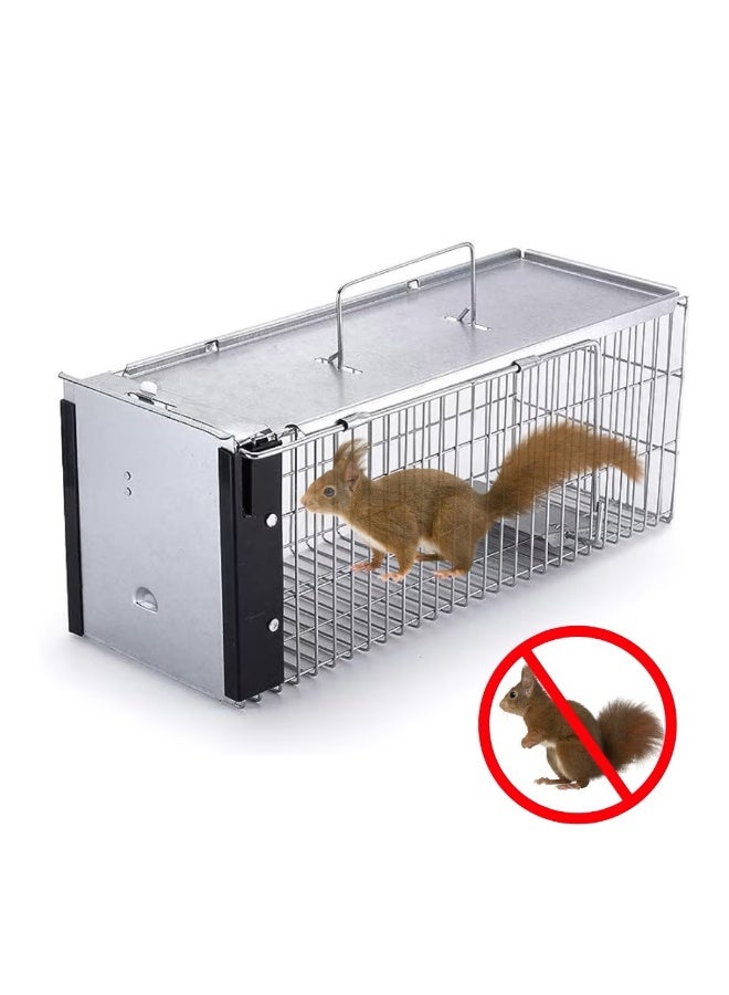 Squirrel cage trap 2009